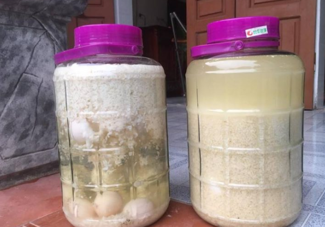  Rượu Bách Nhật 1