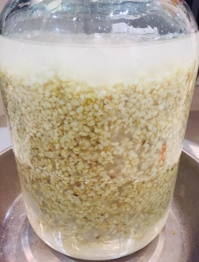  Rượu Bách Nhật 5