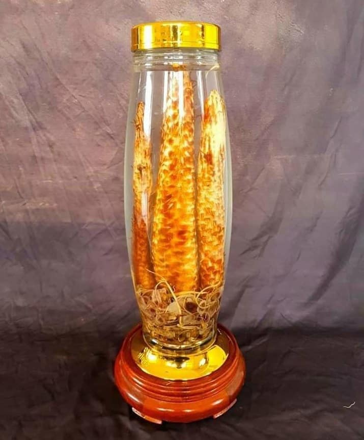 Rượu ngâm nhục thung dung