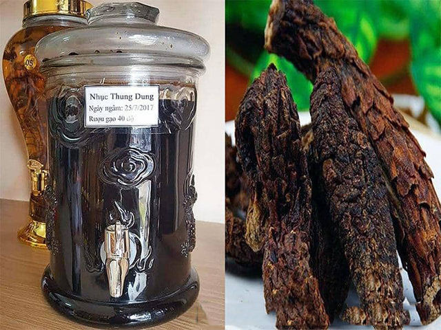 Rượu ngâm nhục thung dung3