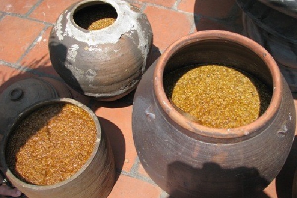 phân phối tương bần sỉ lẻ