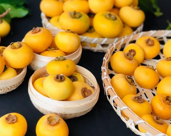 Lợi ích khi ăn quả thị bạn nên biết