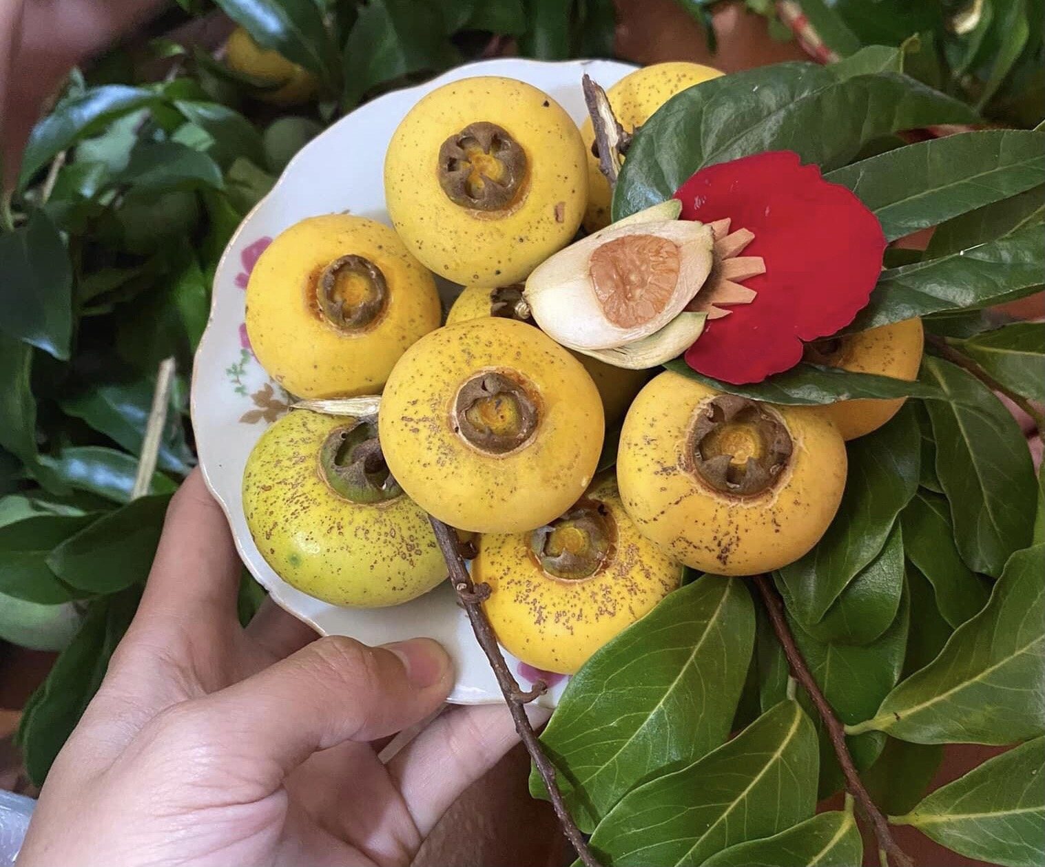 Hướng dẫn cách thưởng thức quả thị thơm