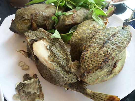 Lợi ích khi ăn cá bò hòm bạn nên biết