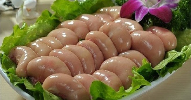 Kê chim bồ câu là gì?