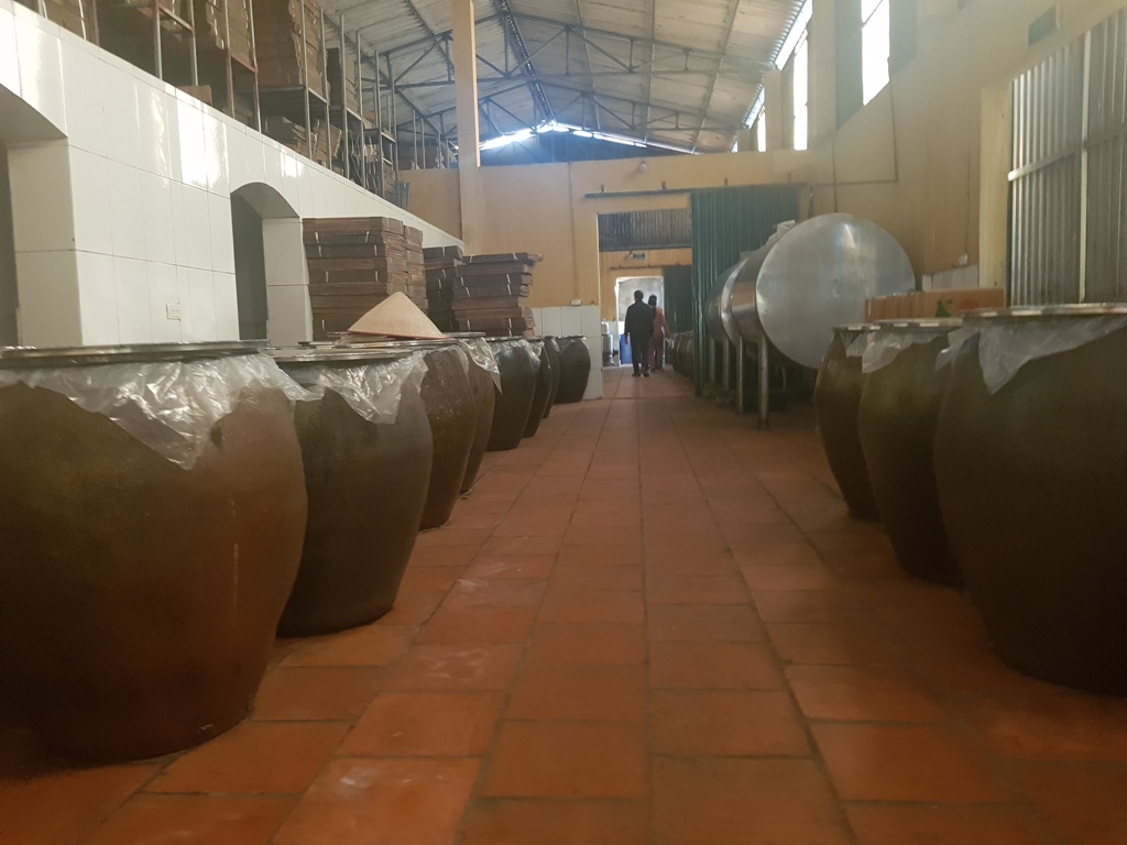 Cách làm rượu nếp cái hoa vàng 