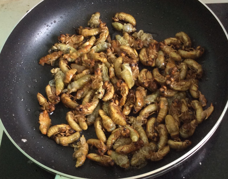 Ve sầu non cho dân nhậu - 550k/kg