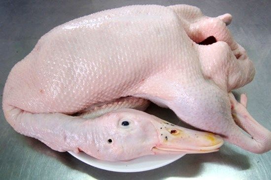 Vịt trời mùa nào ăn ngon nhất2