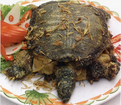 Hướng dẫn chế biến baba ngon