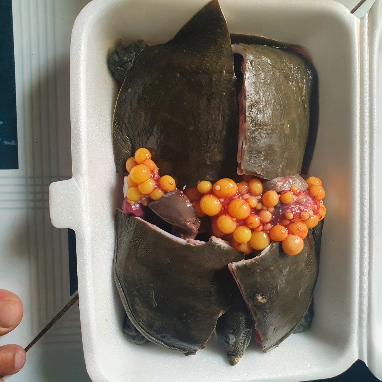 Cách làm thịt ba ba