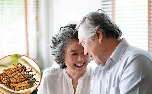 Tác dụng của đông trùng hạ thảo với sức khỏe